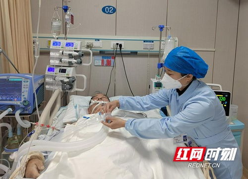 做守护患者生命最温暖的那一束光——记岳阳市中心医院护理部副主任刘婕妤与护理机构服务